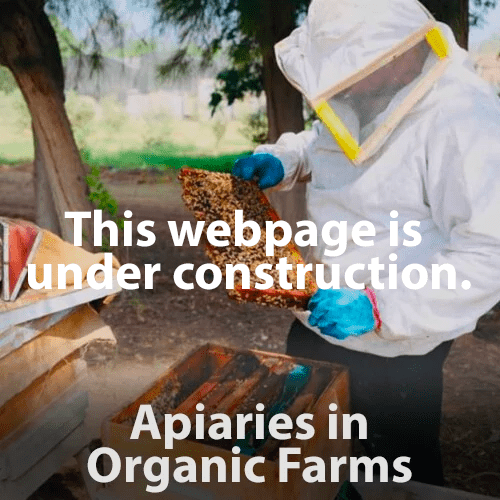 Apiaries-in-Organic-Farms Apiaries-in-Organic-Farms