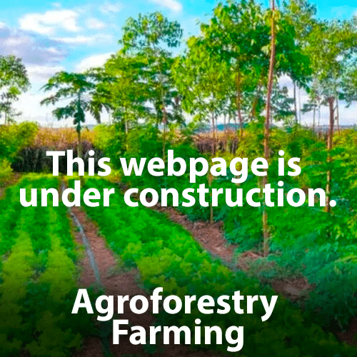 Biodynamic Preparations Biodynamic Preparations