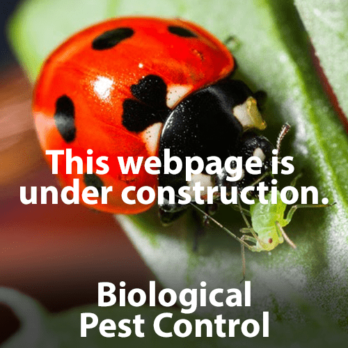 Biological_Pest Control Biological_Pest Control
