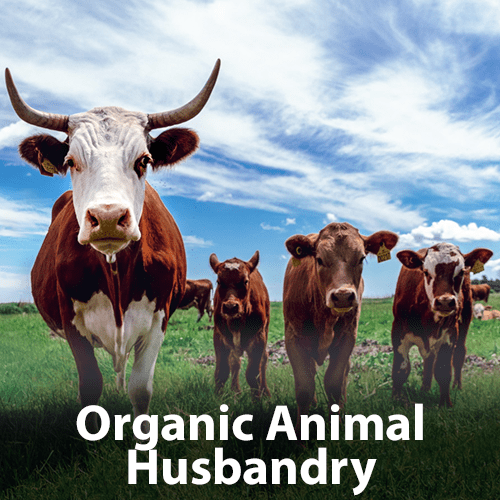 Organic Animal Husbandry Organic Animal Husbandry