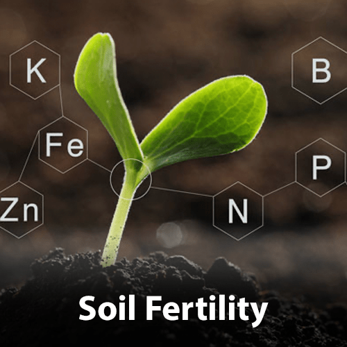 Soil Fertility Soil Fertility