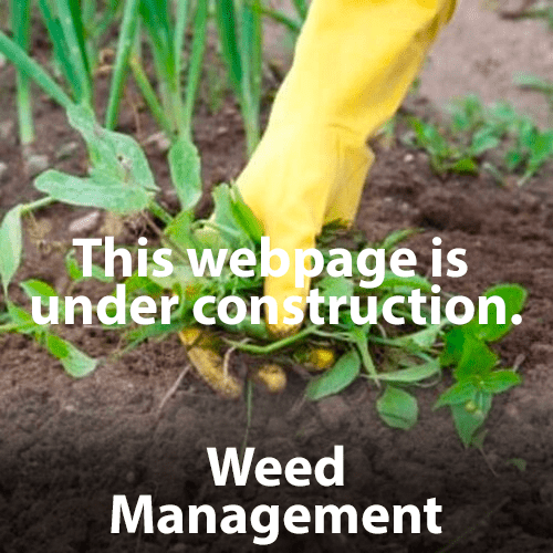 Weed Management_ Weed Management_